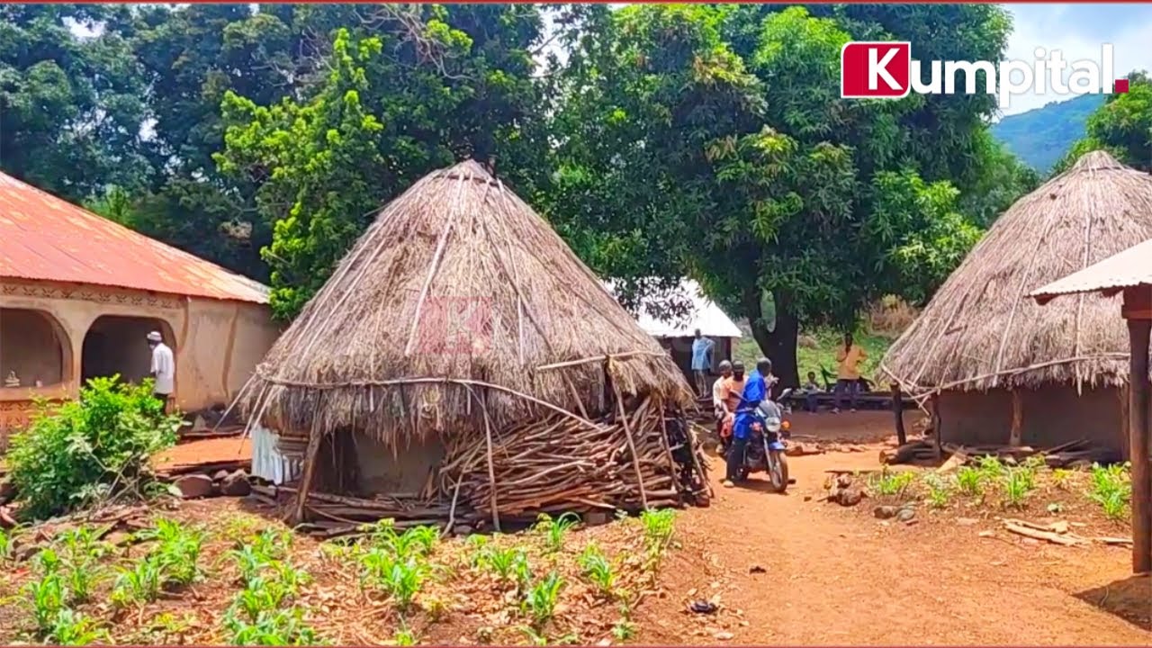 Fuuta Jaloo : Bienvenue à Madiina Hamdallaye, un village qui se trouve dans la sous préfecture