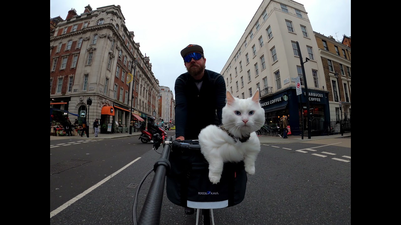 Sigi Rides Compilation 5