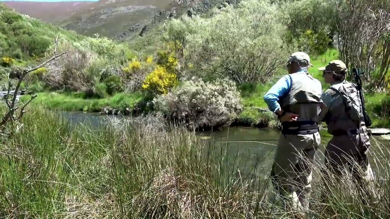 Pescando con Juan Delibes
