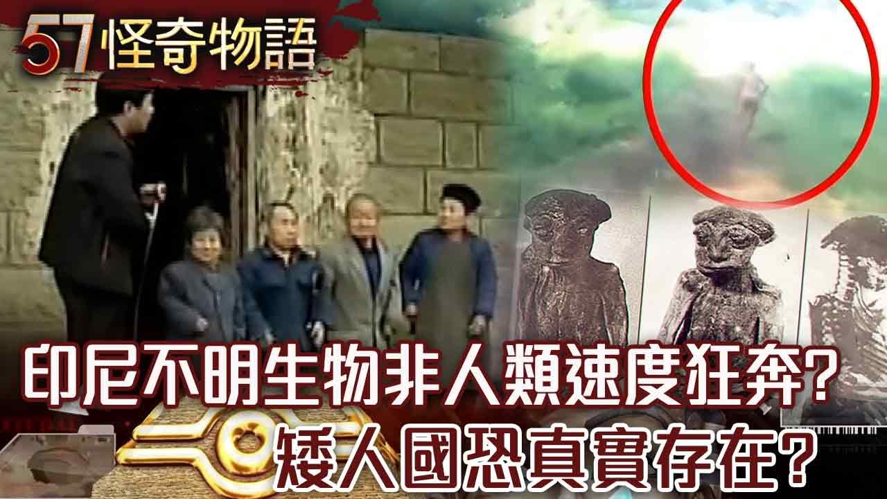 印尼不明生物！非人類速度狂奔？！哈佛證實不假，矮人國恐真實存在？！【57怪奇物語】@57StrangerThings