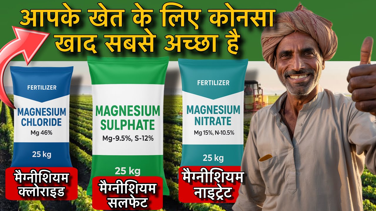 पैदावार बढ़ाए !कौनसी मैग्नीशियम खाद करेगी ज्यादा फ़ायदा | Magnesium Fertilizer by PC Verma 