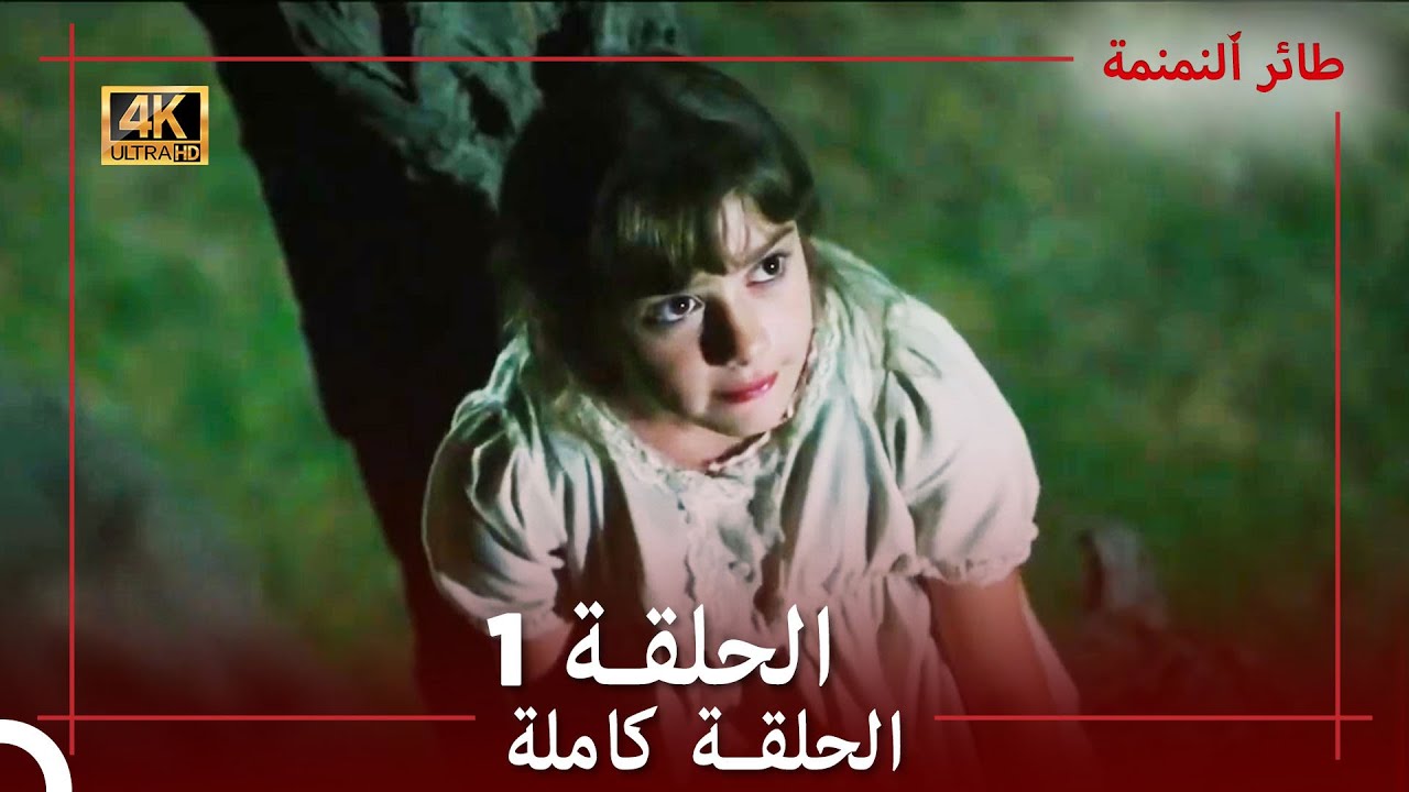 طائر النمنمة -الحلقة 1 -جودة عالية