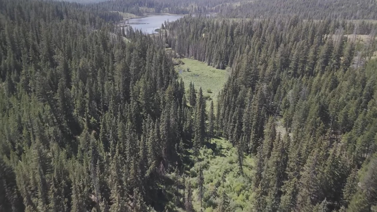 Aerial Bliss: Exploring BC's Hidden Mountain Lakes with My Drone