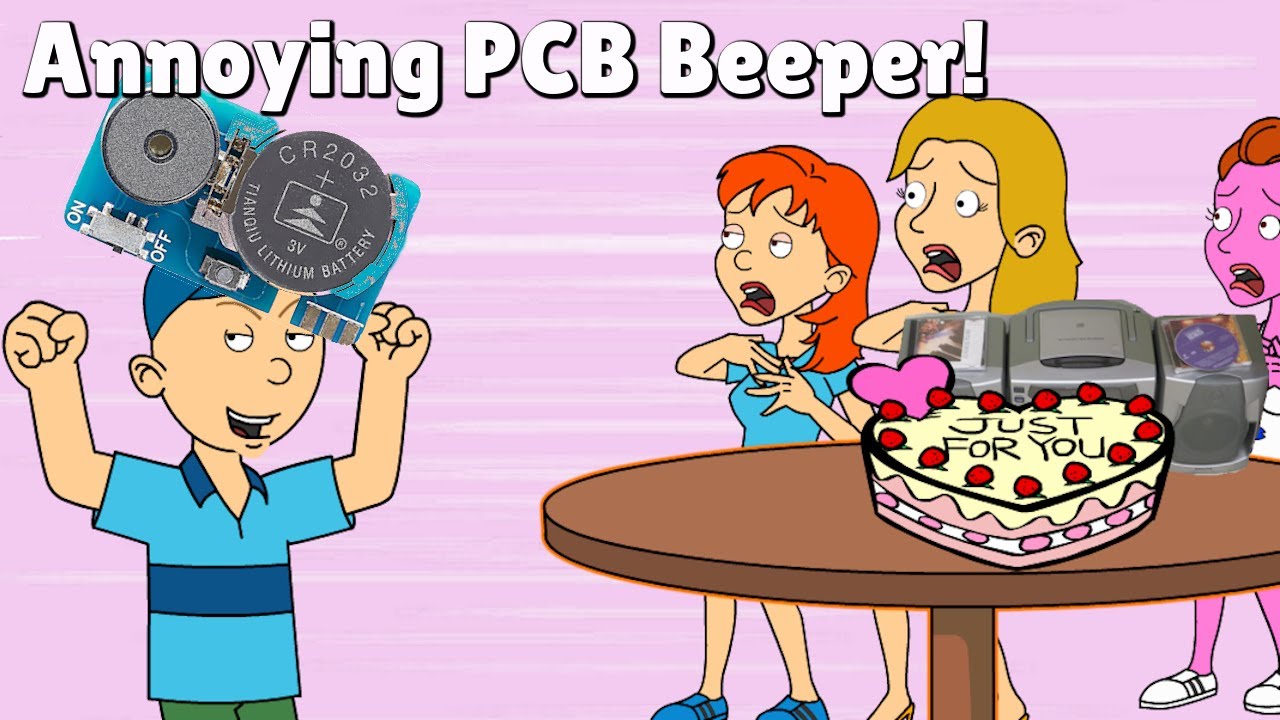 Cody Gets Grounded: Cody Misbehaves On Birthday Party Of Rosie's Friend And Gets Grounded!