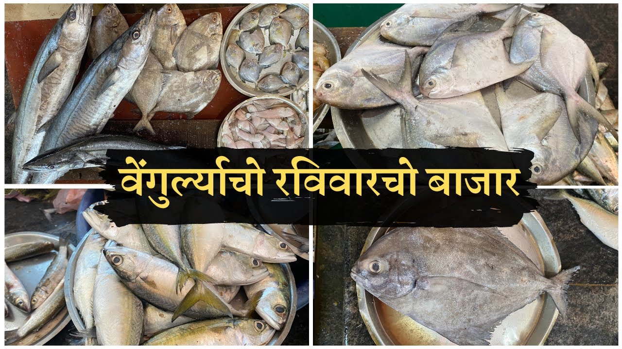 वेंगुर्ल्याचो रविवारचो बाजार - चला तर माझ्यासोबत  Vengurla fish market | Vengurla Vlogs
