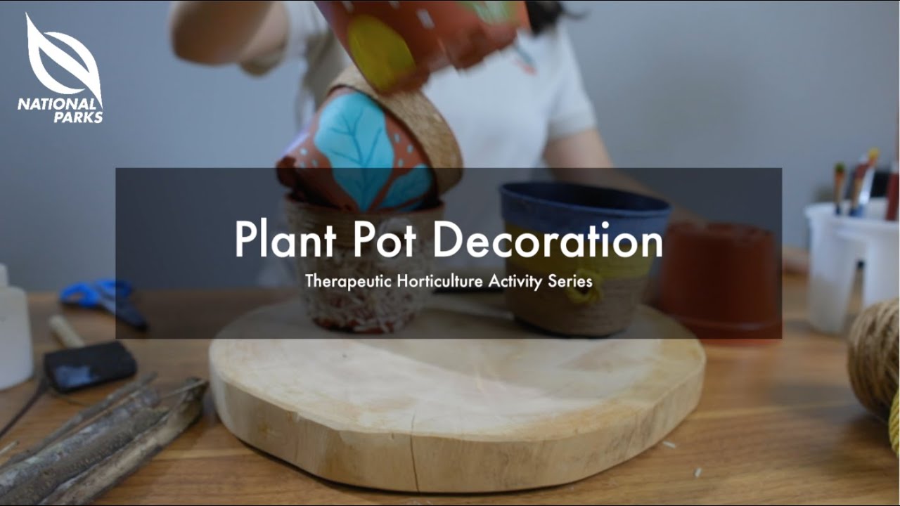 Plant Pot Decoration