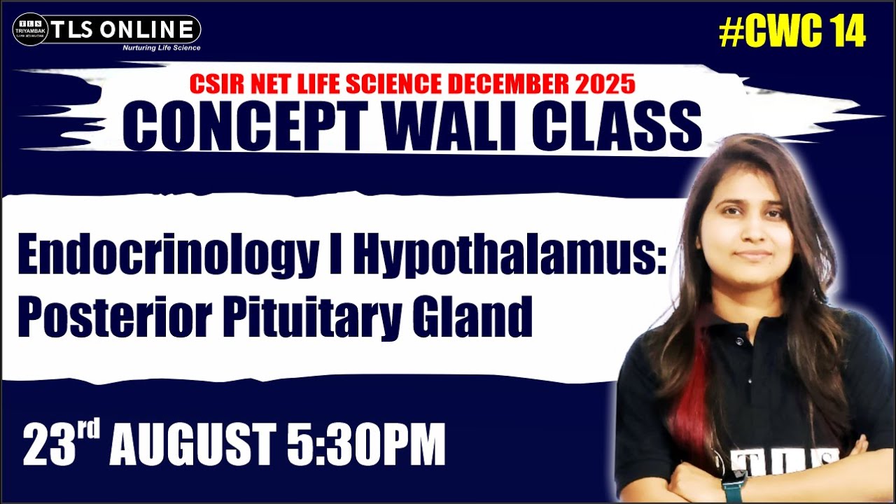 𝐄𝐧𝐝𝐨𝐜𝐫𝐢𝐧𝐨𝐥𝐨𝐠𝐲 𝐥 𝐇𝐲𝐩𝐨𝐭𝐡𝐚𝐥𝐚𝐦𝐮𝐬: 𝐏𝐨𝐬𝐭𝐞𝐫𝐢𝐨𝐫 𝐏𝐢𝐭𝐮𝐢𝐭𝐚𝐫𝐲 𝐆𝐥𝐚𝐧𝐝 | 𝐂𝐒𝐈𝐑 𝐍𝐄𝐓 𝐋𝐢𝐟𝐞 𝐒𝐜𝐢𝐞𝐧𝐜𝐞 |  𝐂𝐖𝐂 𝟏𝟑
