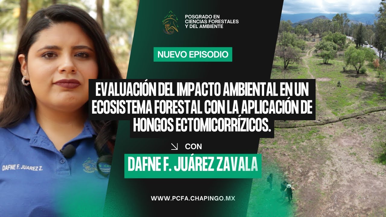 Evaluación del impacto ambiental en un Ecosistema Forestal
