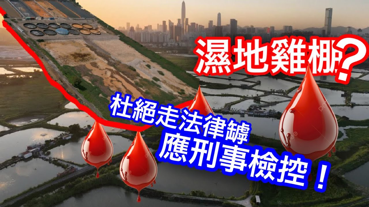 260311【鴻綠燈】EP1237潘焯鴻 | 霸佔破壞4公頃濕地應刑事檢控杜絕法律罅 | MPF保退休天方夜譚 停止膨脹 喜歡就自己供 改革取用機制 | 以美閃電戰失敗 伊持久戰湊巧 戰爭隨時停止