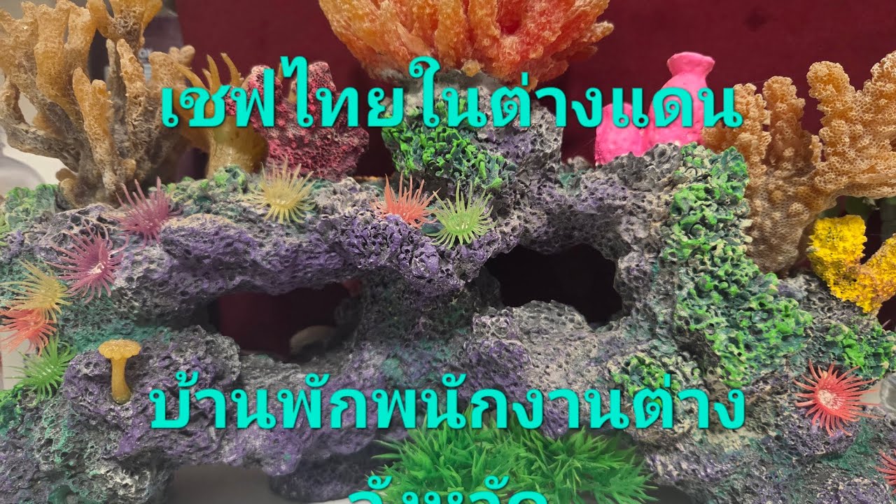 18 กุมภาพันธ์ ค.ศ. 2026