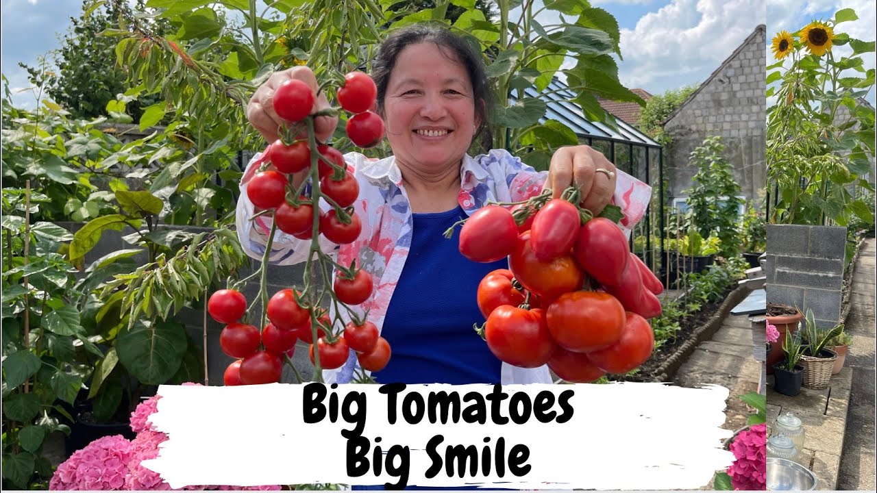 Nepali family harvest vegetables in the UK 2021 (English subs)