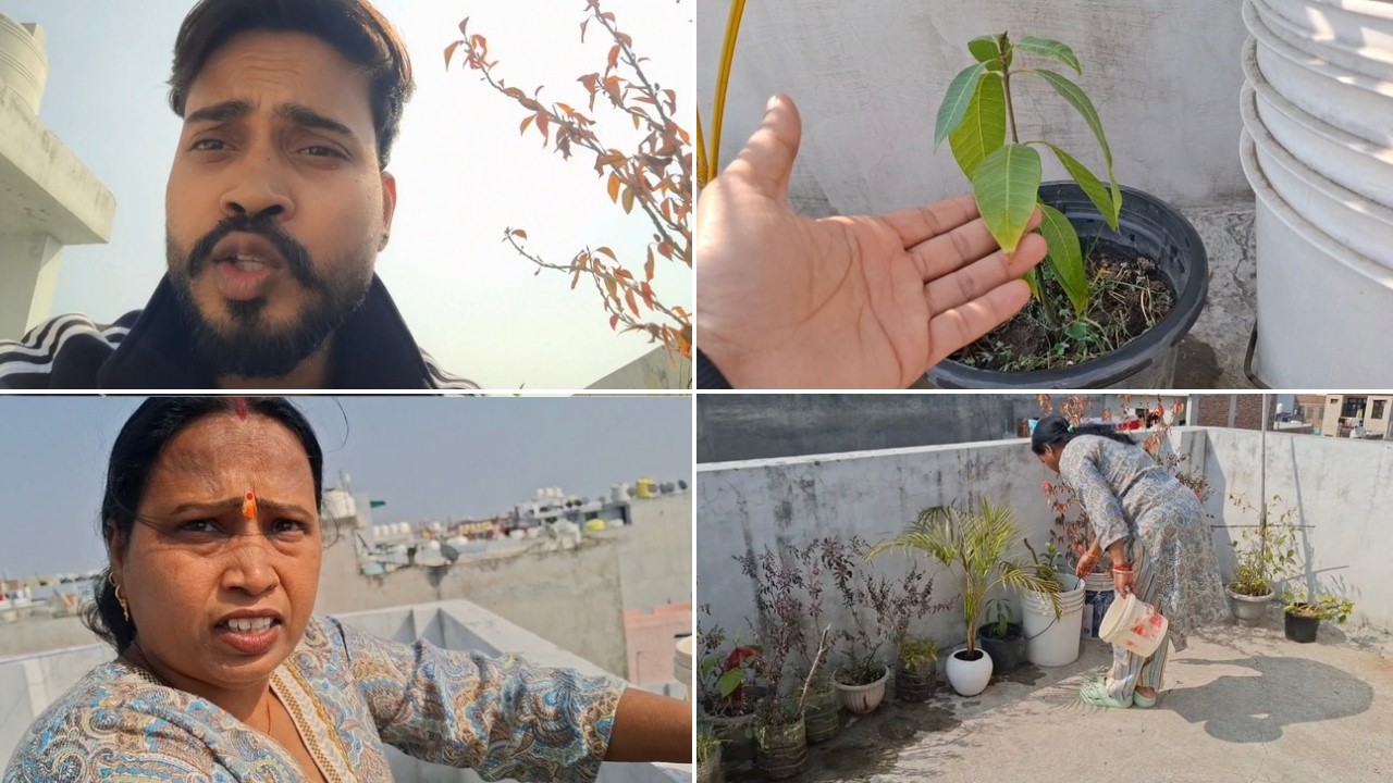 Plant Ki Karo Is Tarha Se Caring 😍 | Delhi Ka Varun