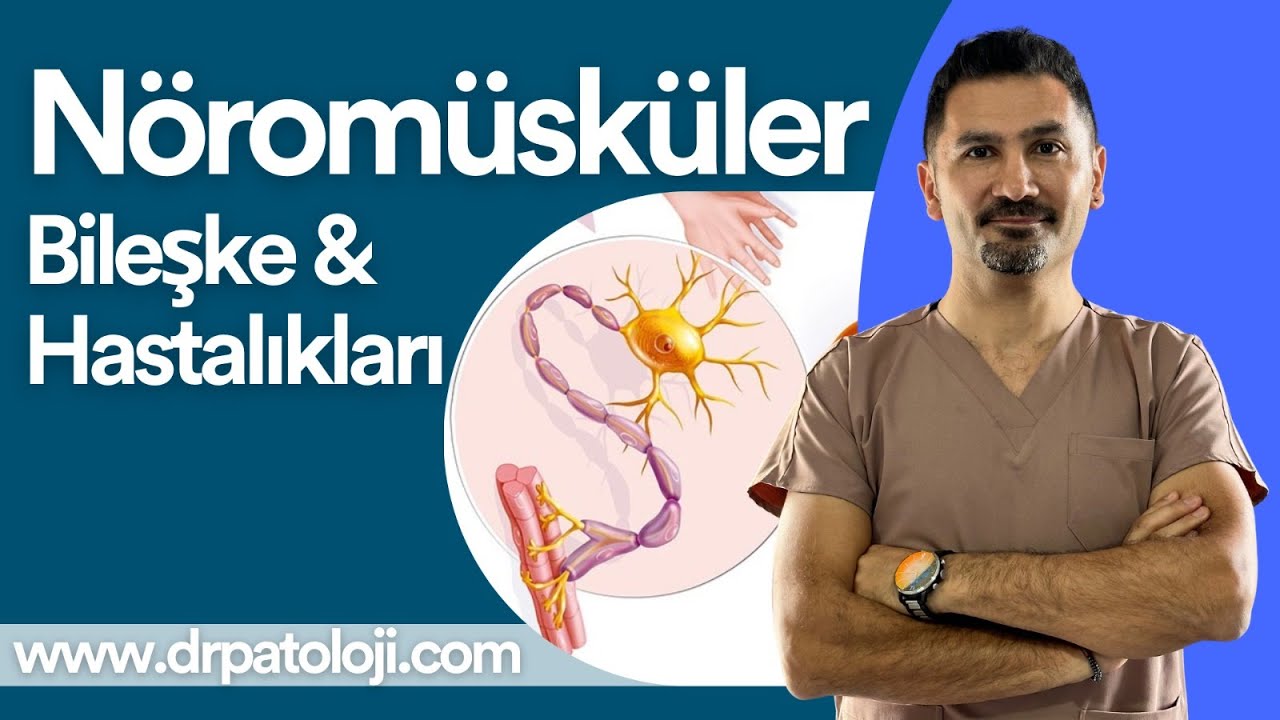 Nöromusküler Bileşke Fizyolojisi ve Hastalıkları