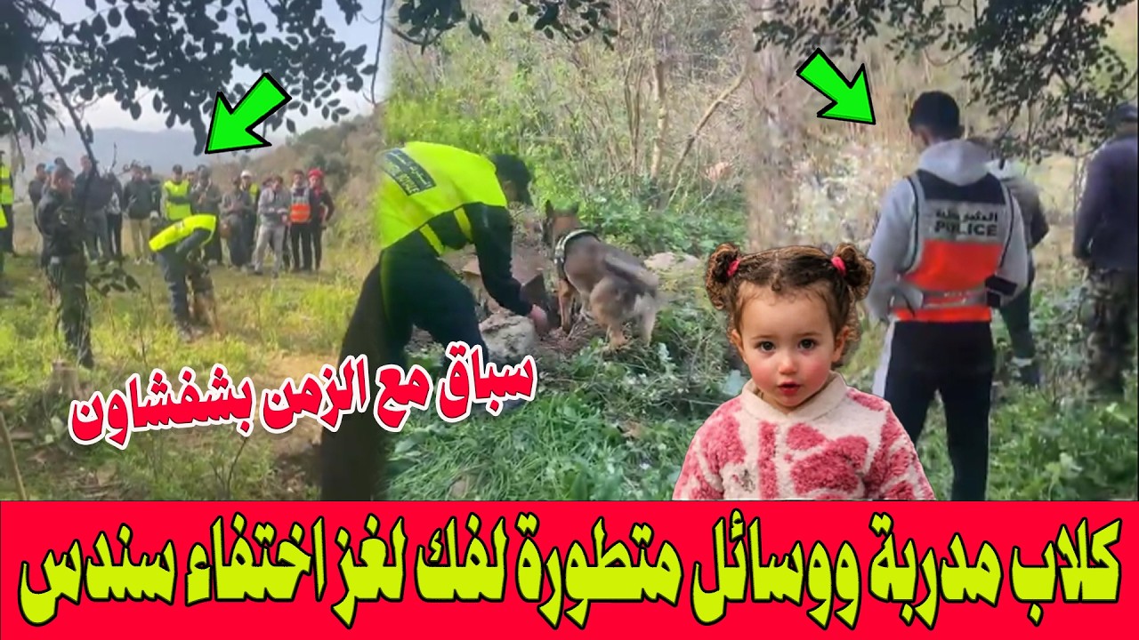 سباق مع الزمن في شفشاون..استخدام الكلاب المدربة والوسائل المتطورة لفك لغز اختفاء 