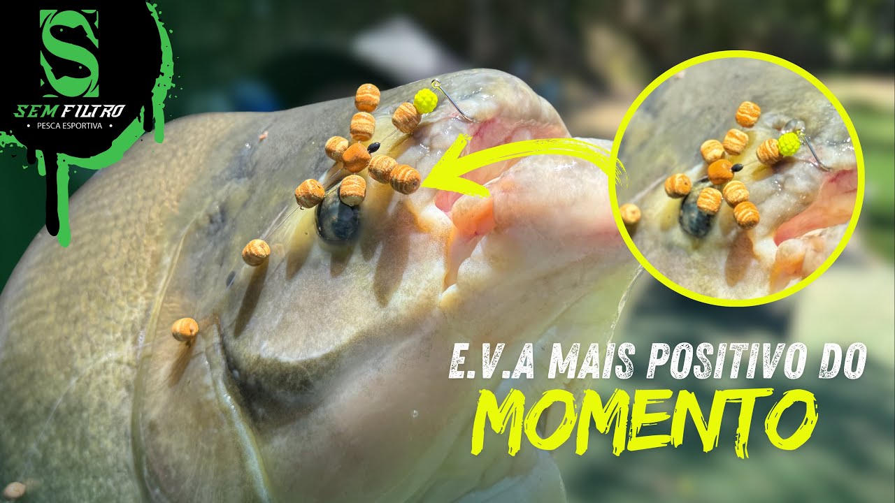 PASSO A PASSO! MONTANDO O MANHOSINHO MAIS POSITIVO DO MOMENTO-Dicas