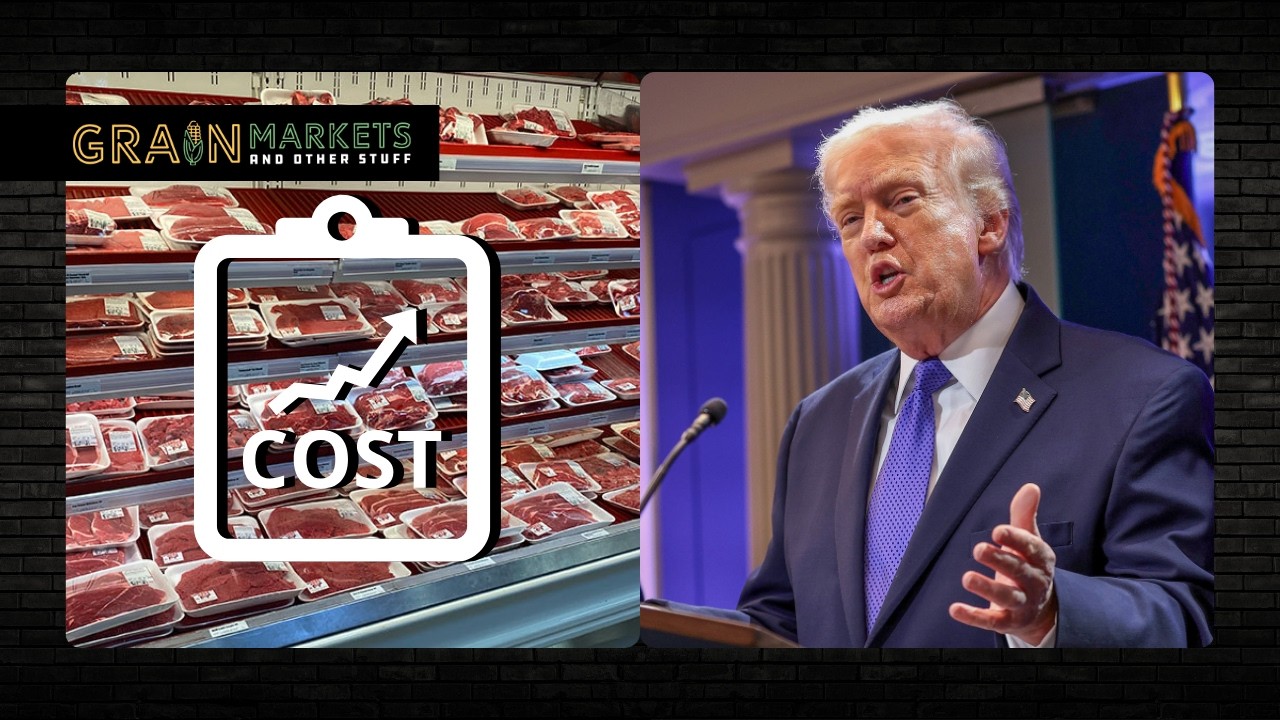Trump Tariff Threat + Americans 