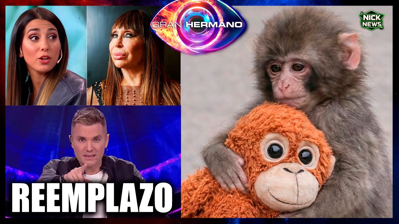 EL REEMPLAZO DE DEL MORO😱 HABLÓ MORIA🚨😱ZOE contra GH?🚨PUNCH el MONO viral RECHAZADO😭