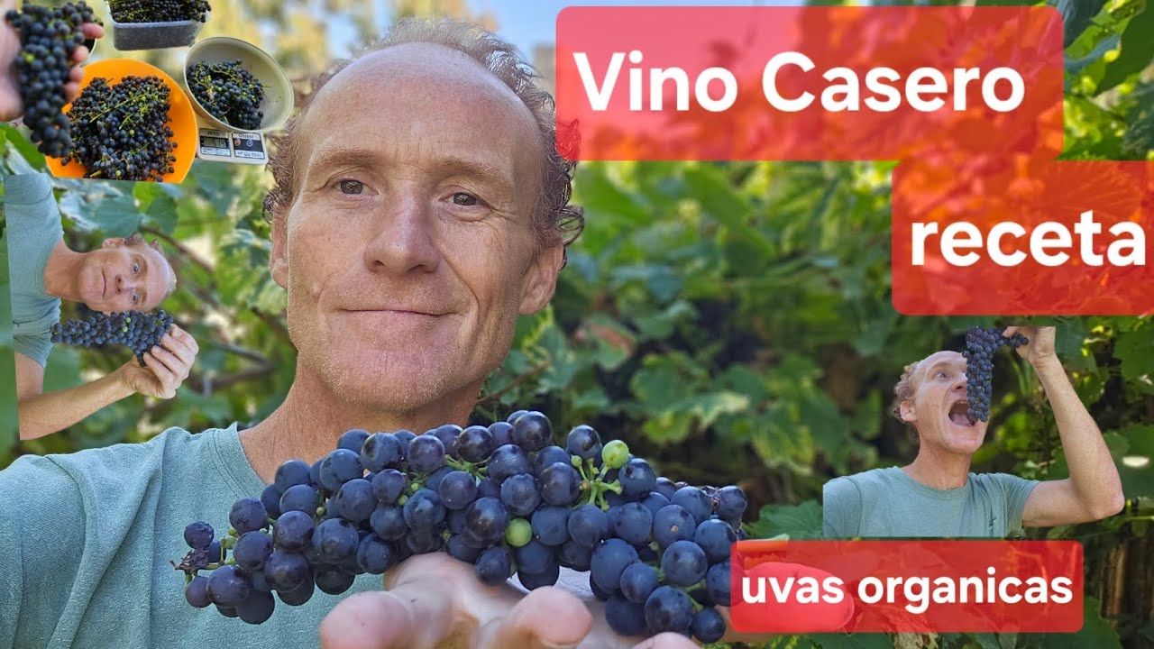 Vino Casero, 