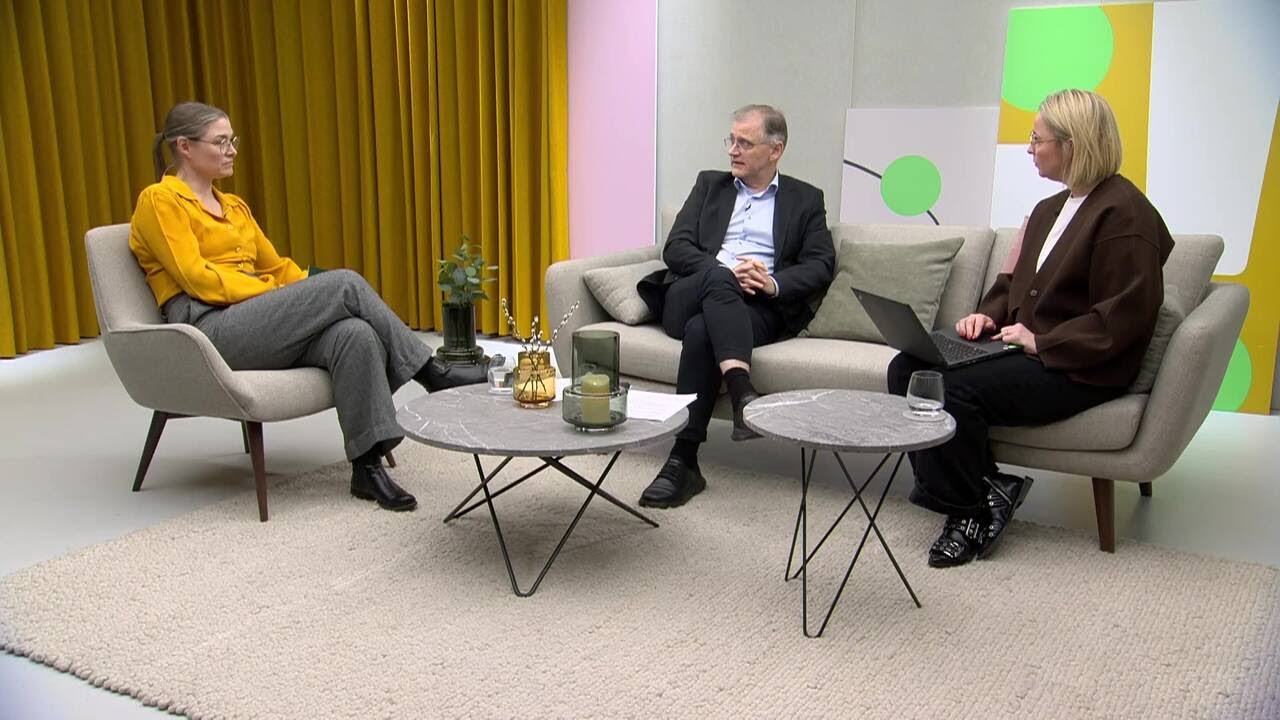 Katjing - Investeringsåret der kommer