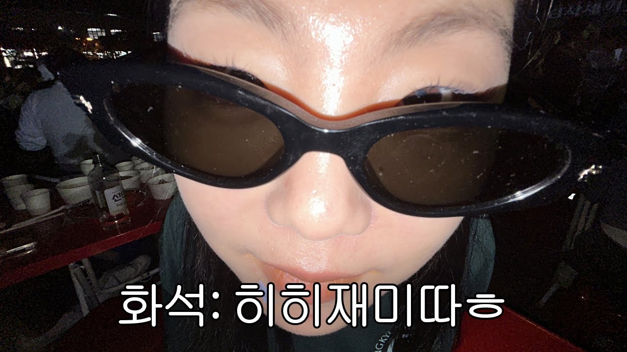 화석의 성균관대 축제 브이로그