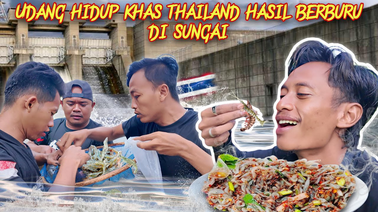BERBURU UDANG DI SUNGAI DERAS LANGSUNG OLAH UDANG HIDUP PEDAS KHAS THAILAND