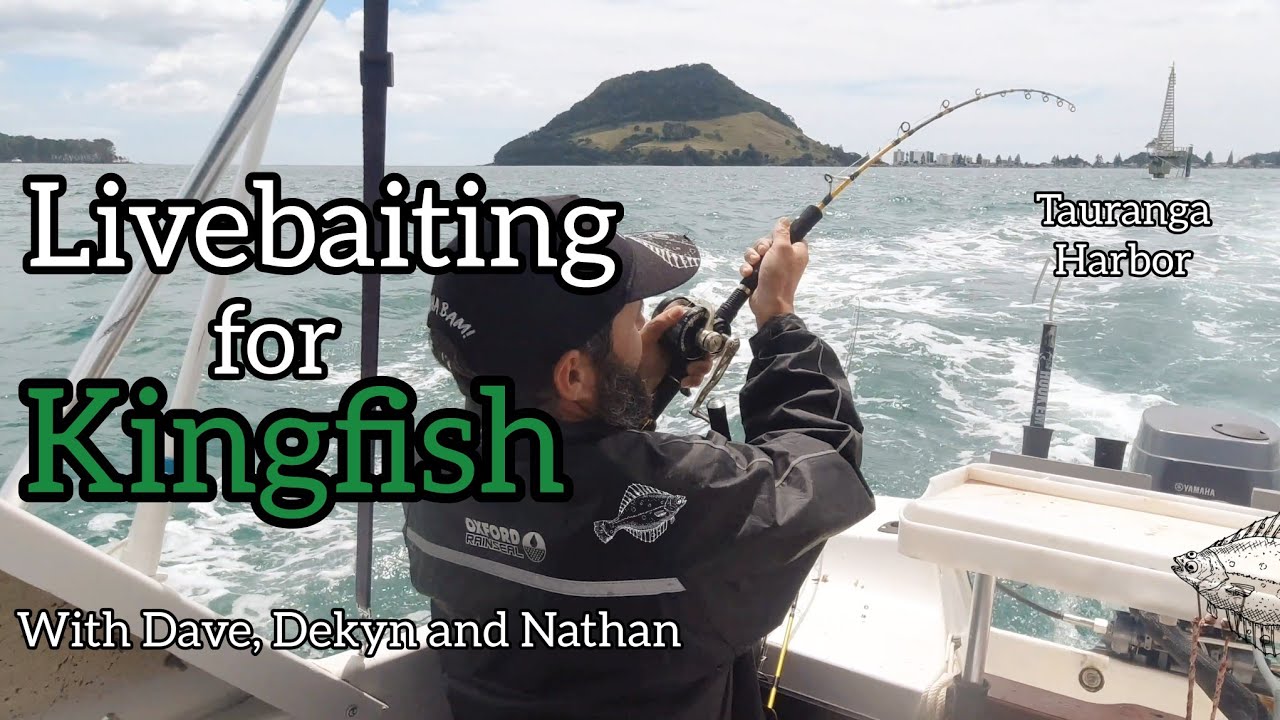 Живая ловля королевской рыбы с Дэйвом, Декином и Натаном [гавань Тауранги]