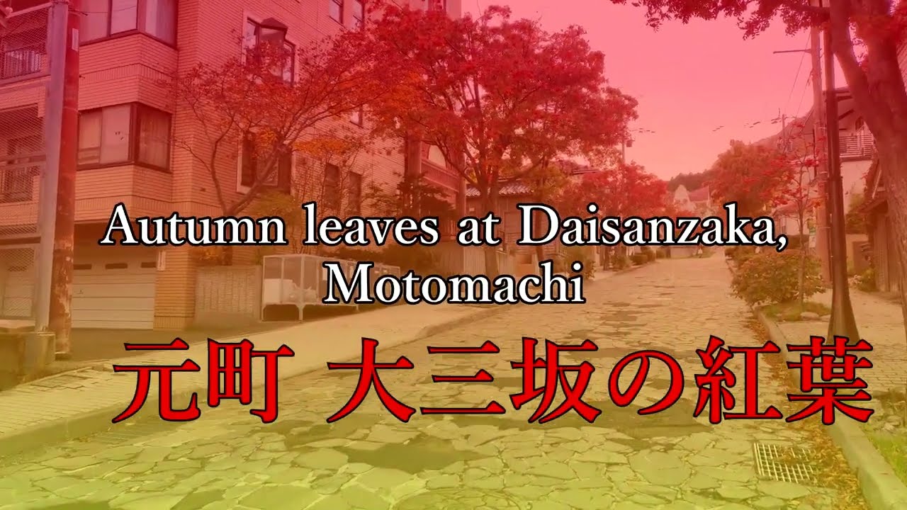 20221102【4K】元町大三坂の紅葉Autumn leaves of Motomachi Daisanzaka #紅葉 #函館 #元町#大三坂