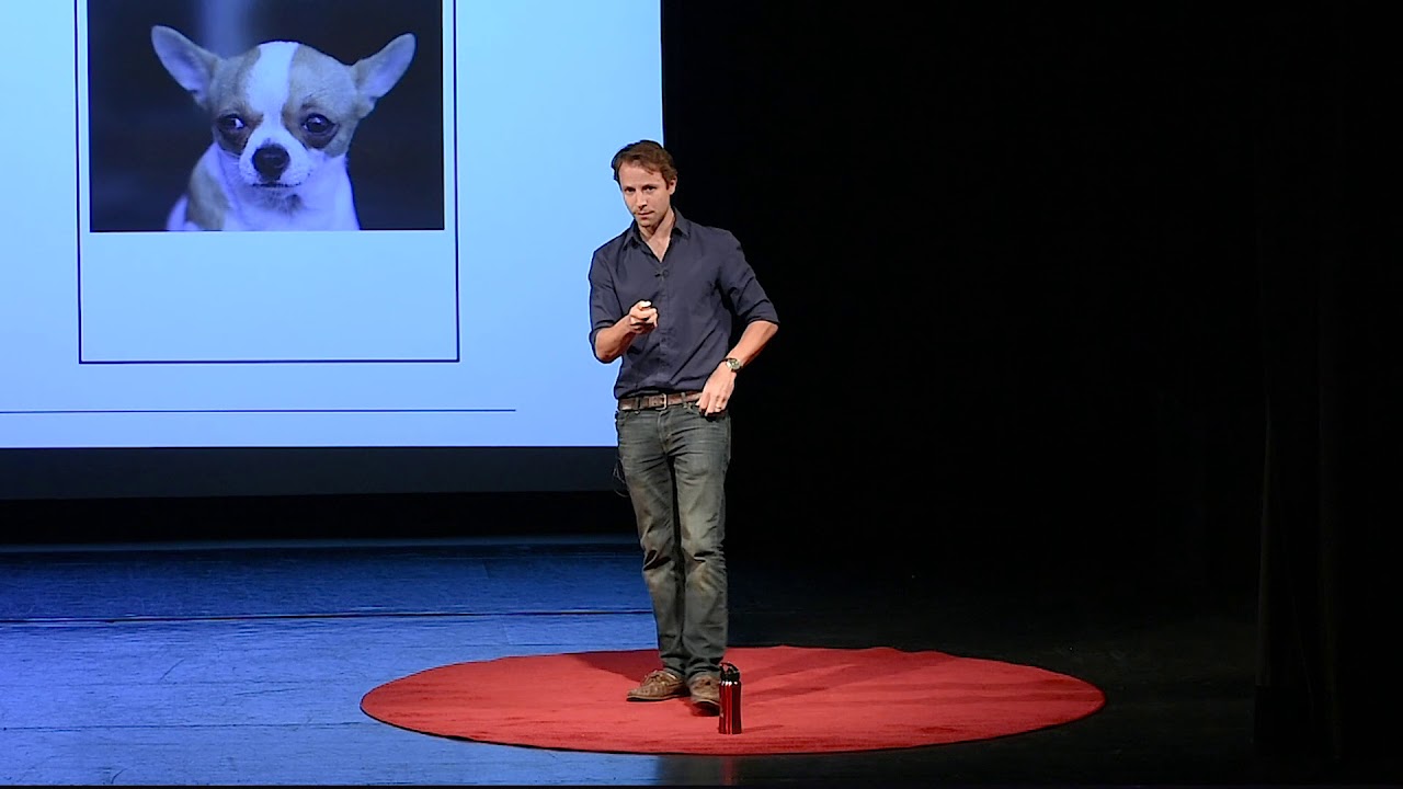Your Brain, Your Life | Jared Horvath | TEDxYouth@ReddamHouse