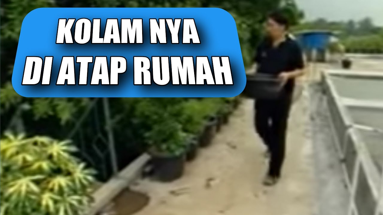 GILE KOLAMNYA DI ATAP RUMAH , MANTAAAP !