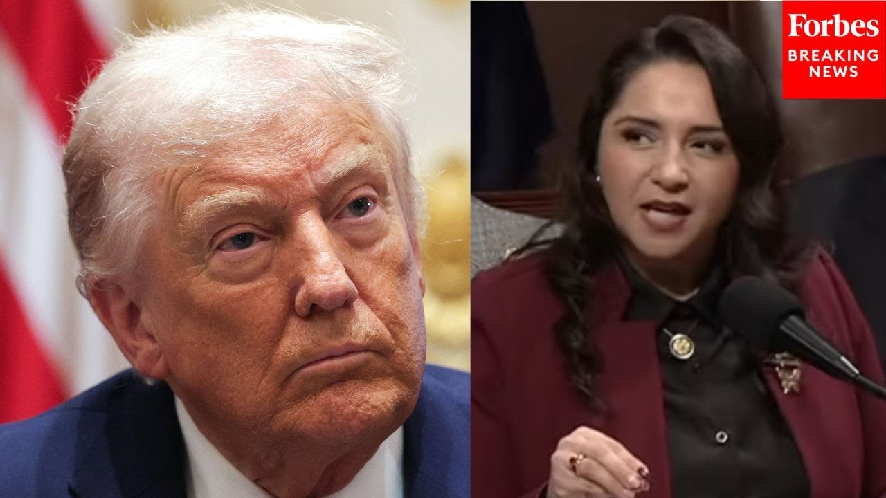 'The Hypocrisy Is Suffocating': Delia Ramirez Goes Nuclear On Trump Over Venezuela Threats