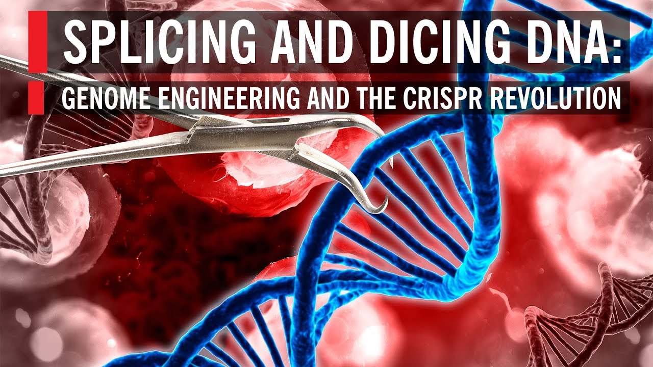 Splicing and Dicing DNA: Genome Engineering and the CRISPR Revolution | World Science Festival