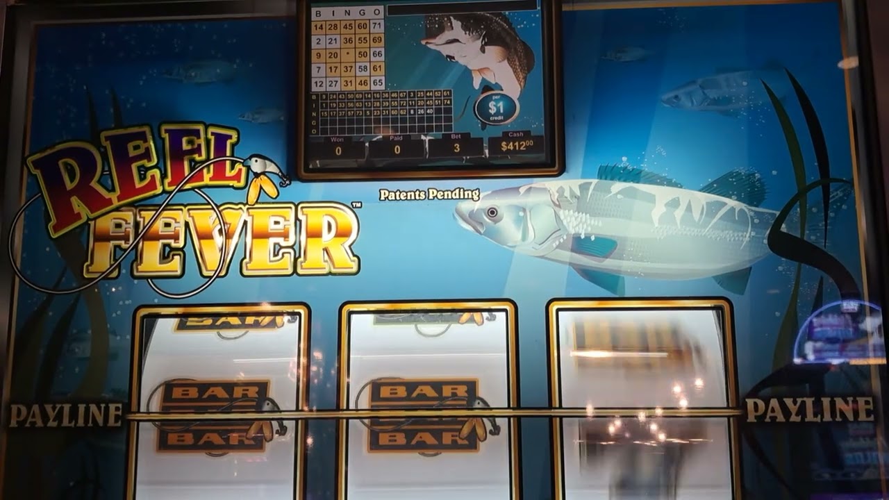 Reel Fever Hard Rock