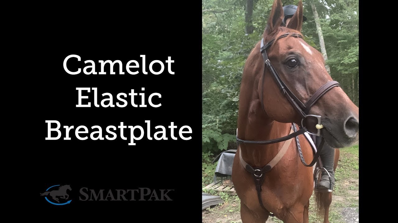 Camelot Elastic Breastplate Review