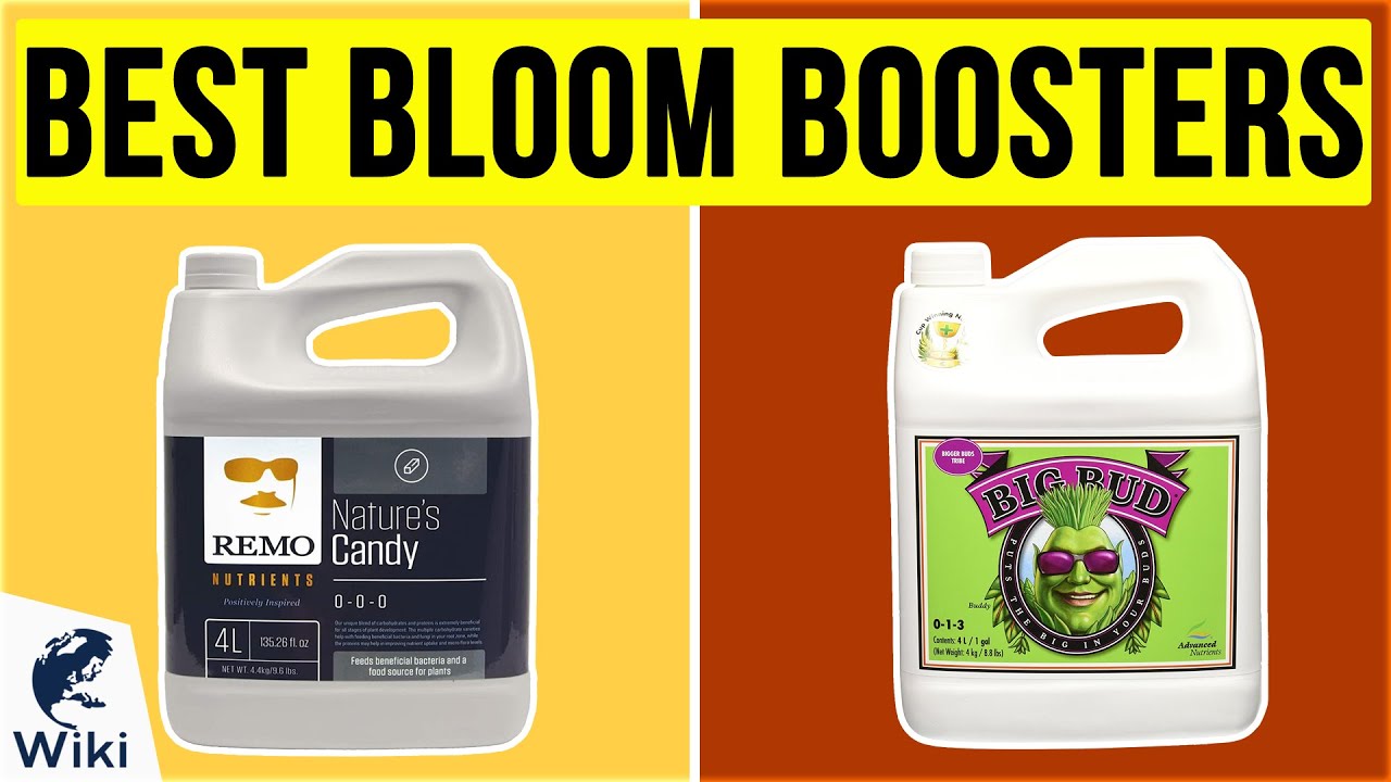 10 Best Bloom Boosters 2020
