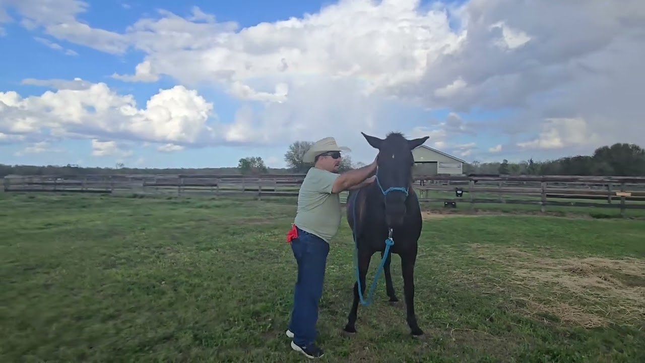 YIELDS TO TOUCH: Intro to Sidepass.