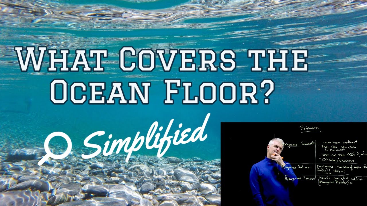 What Covers the Ocean Floor