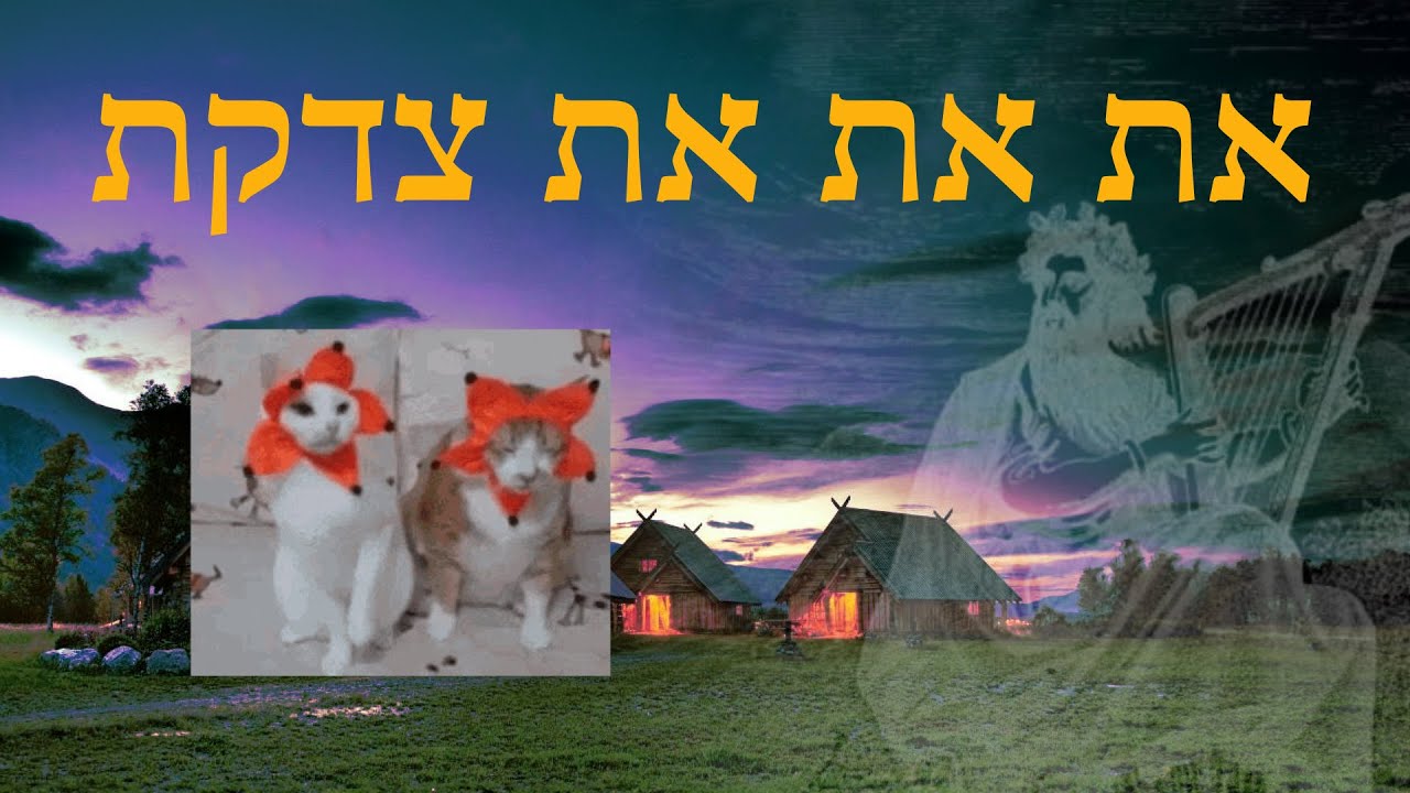 את את את צדקת ואני טעיתי