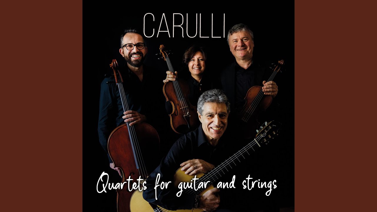 Solo No. 1 in D Major, Op. 207: I. Allegro
