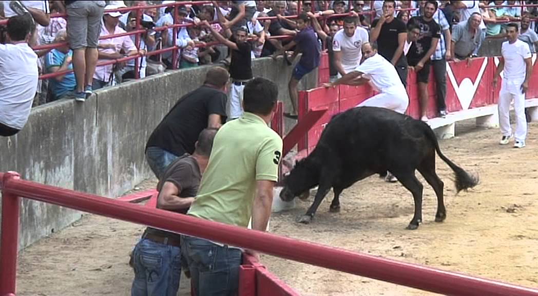 BANDE ANNONCE TEMPORADA CAMARGUAISE 2013,raseteurs,taureaux,ar&egrave;ne