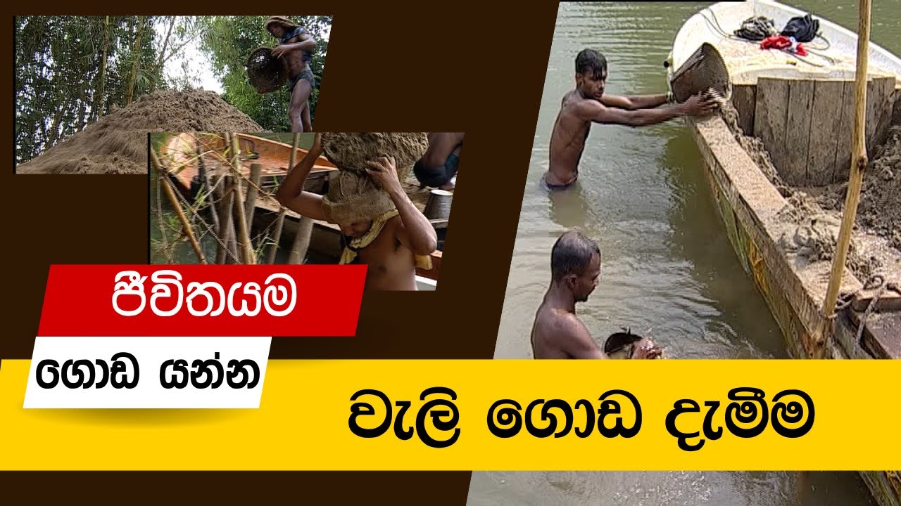 Wenasa : ජීවිතය ගොඩ යන්න, වැලි ගොඩ දාන්න වෙන මහන්සියක් |  River Sand Mining & Divers Life
