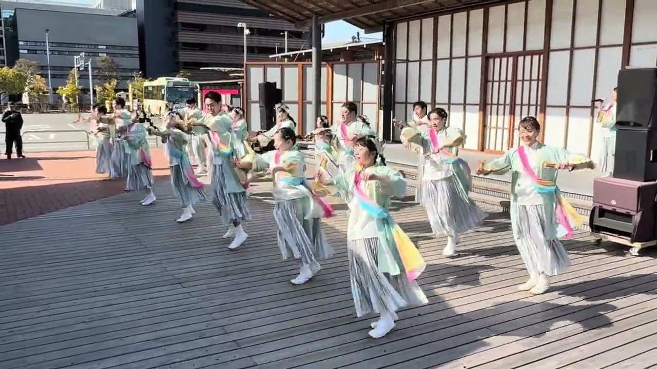 2026.1.25  たびひろよさこい  夏帰鳥〜なつきちょう〜  高知旅広場  高知  よさこい