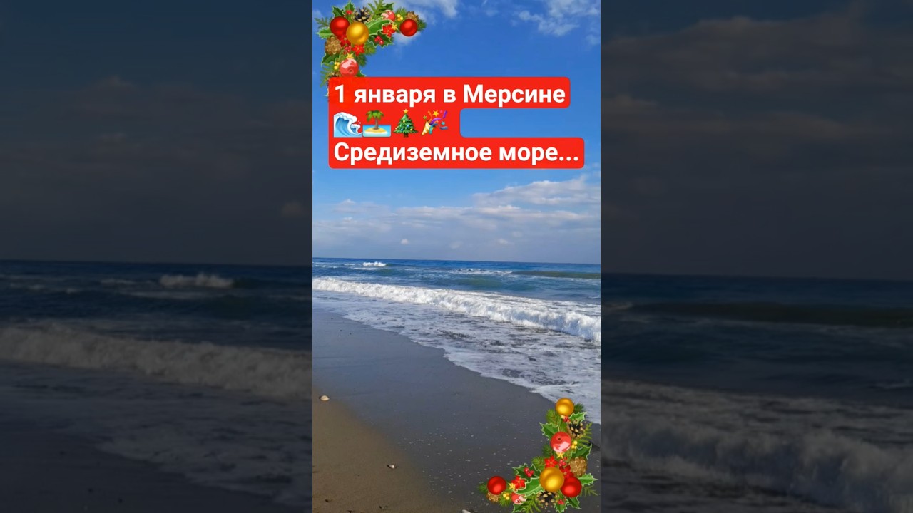 WhatsApp +90 535 039 11 85 