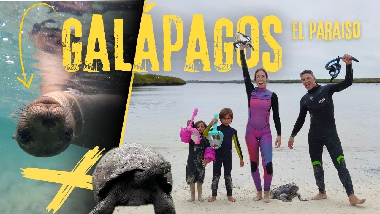 ¿Vale la pena el precio de viajar a GALÁPAGOS? 💸