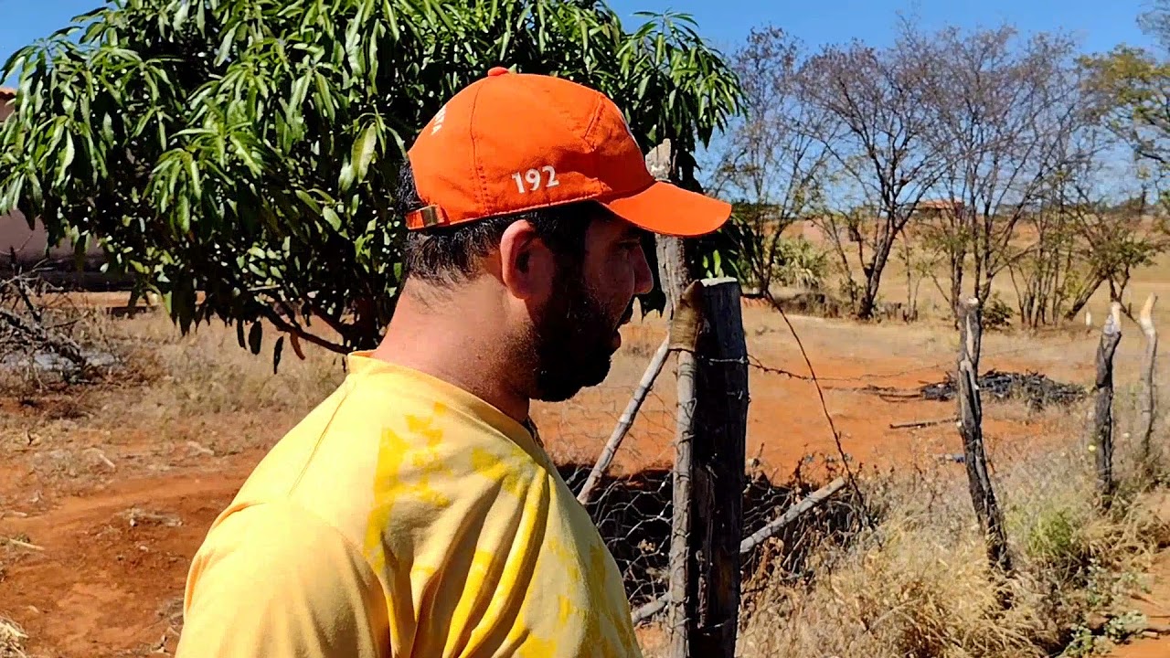 Gotejamento no Milho 🌽| Edy dá dicas