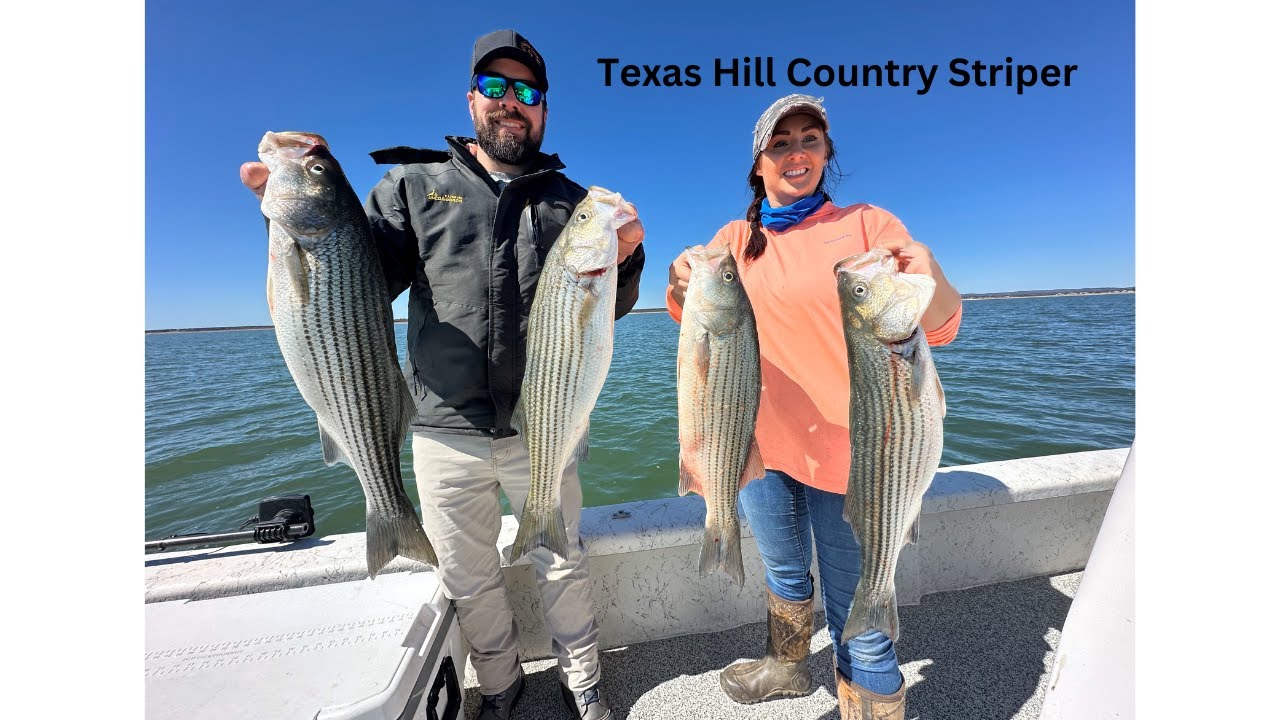 Catching striper on lake Buchanan in Texas! (Catch, Clean & Cook)