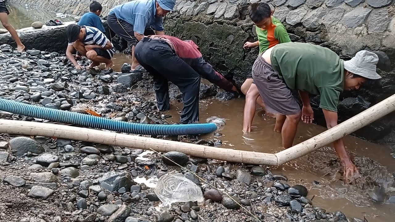 Kuras air Bendungan Belanda Ikan Predator Bermunculan | Berpetualang berburu ikan