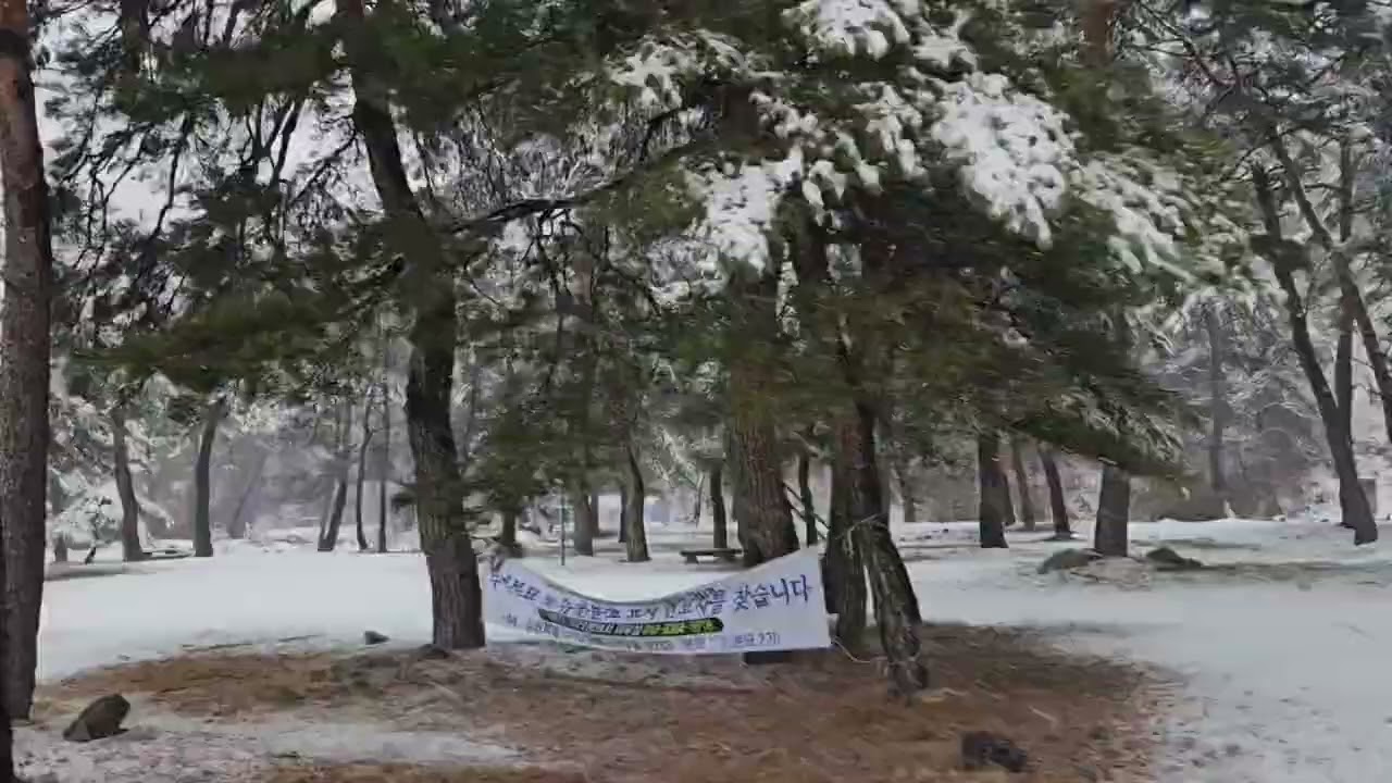 강원도 산골에 눈이 많이와요#묵호여행 #묵호 