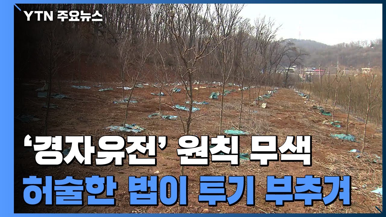 농사 안 지어도 농지 소유...허술한 법이 투기 부추겨 / YTN