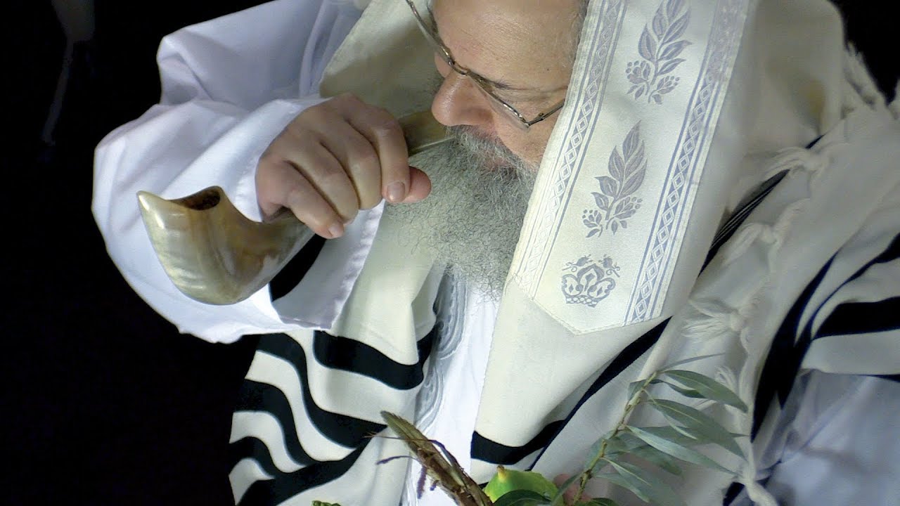 Au cœur de la Rashi Shul avec le Rav Chaïm Zvi Rozenberg