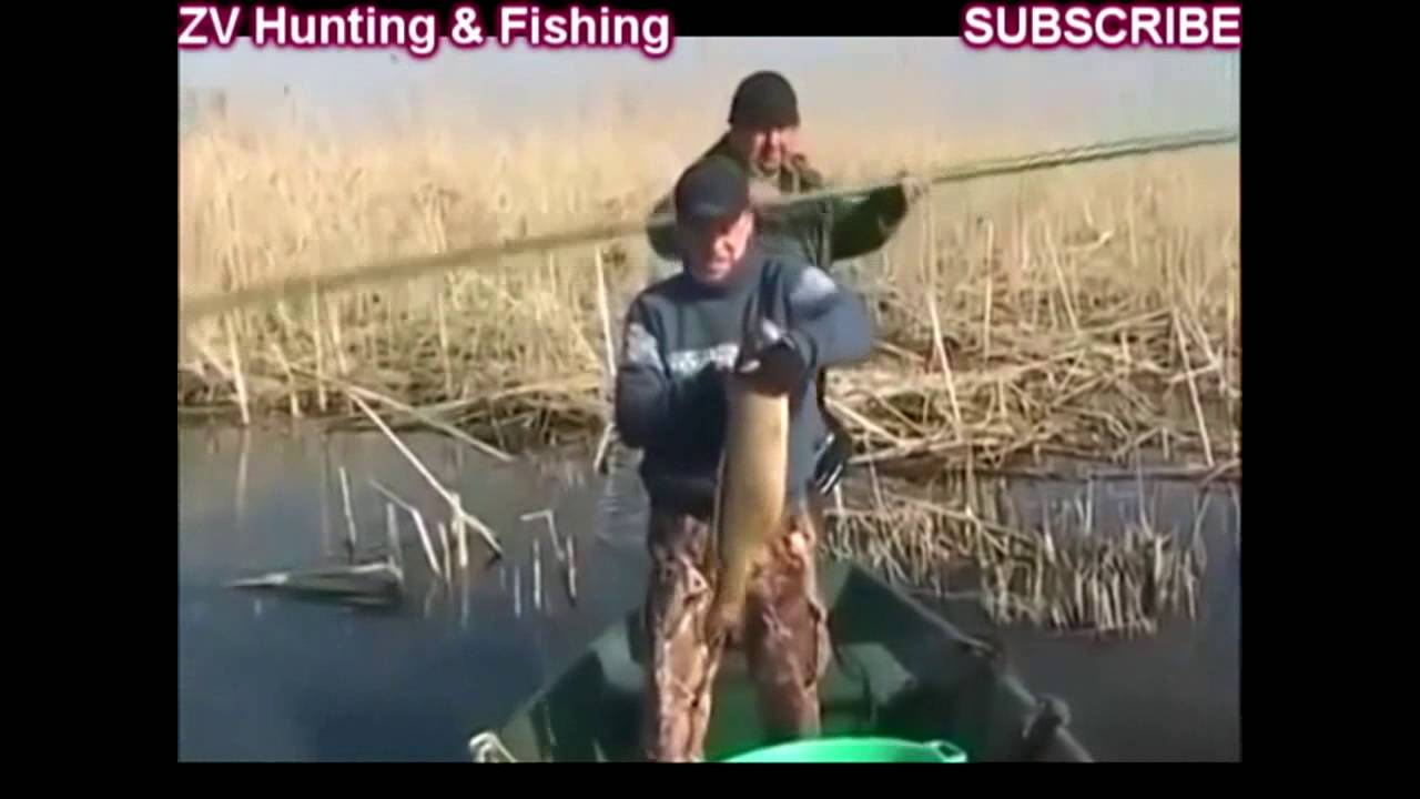Carp Fishing Tips